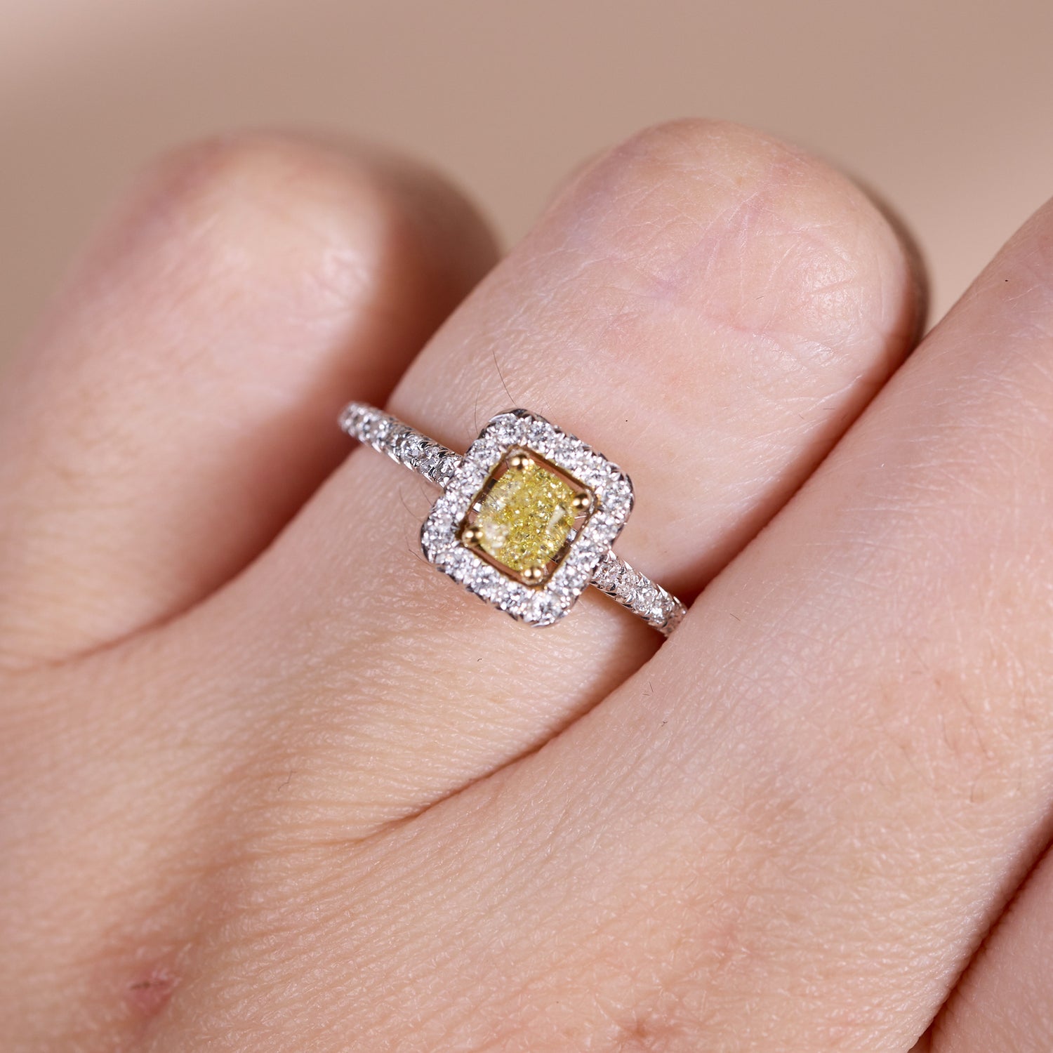 18K Gold Two - Tone Split Shank Ring with 0.35ct.tw. Natural Yellow Diamond - JewelryAndStore