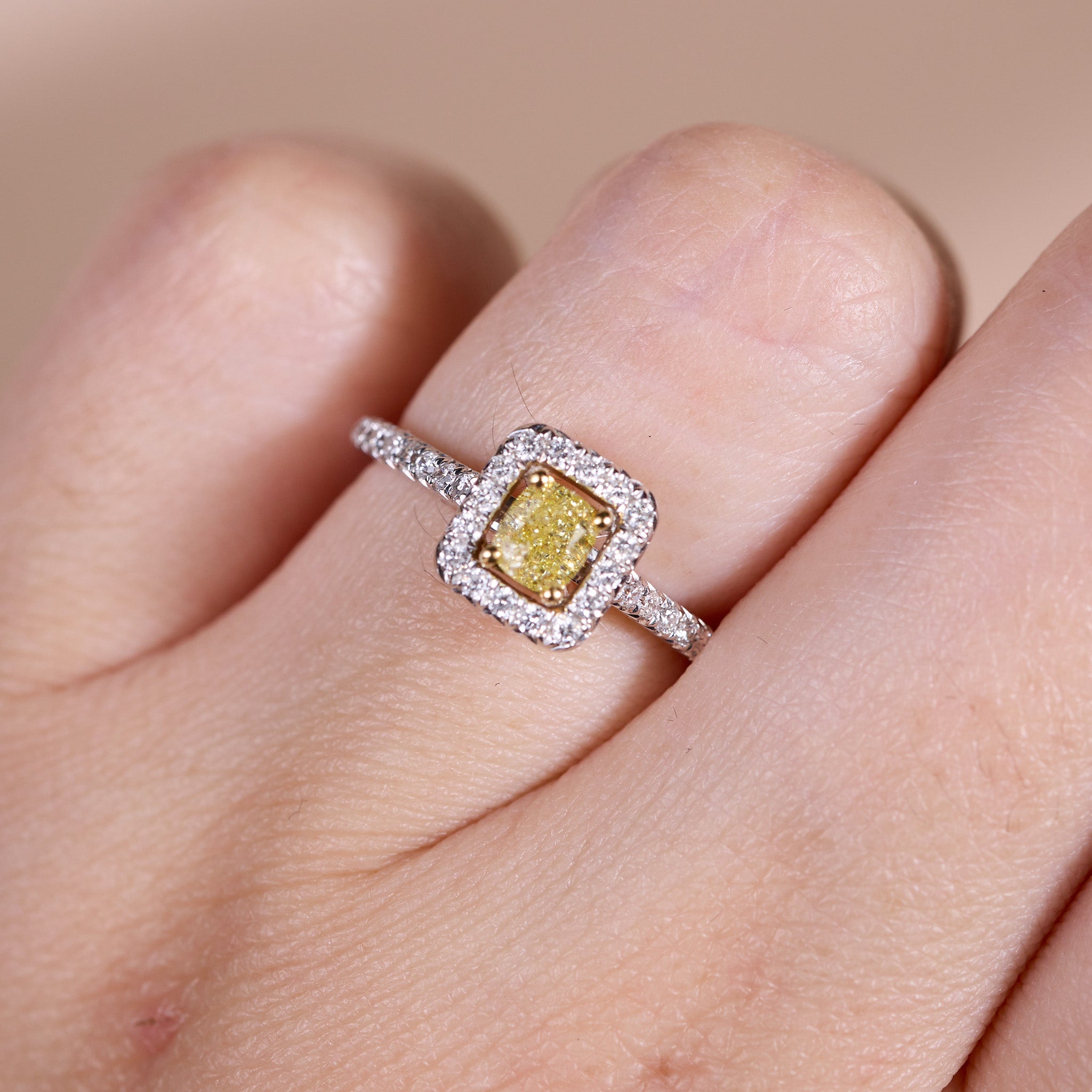 18K Gold Two - Tone Split Shank Ring with 0.35ct.tw. Natural Yellow Diamond - JewelryAndStore